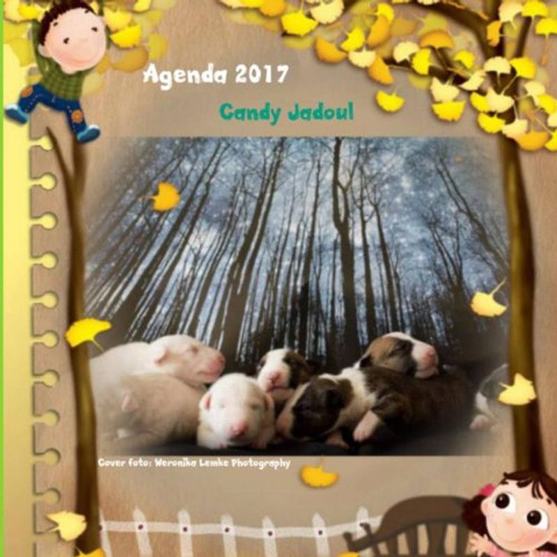 Foto van Agenda klein bull terrier friends / 2017