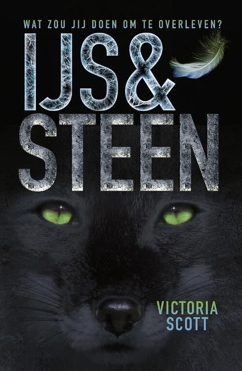 Foto van Ijs en steen - victoria scott - ebook (9789025868345)