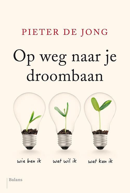 Foto van Op weg naar je droombaan - pieter de jong - ebook (9789463820424)