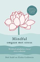 Foto van Mindful omgaan met stress - bob stahl, elisha goldstein - ebook (9789493228184)