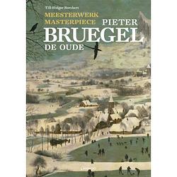 Foto van Meesterwerk/masterpiece: pieter bruegel