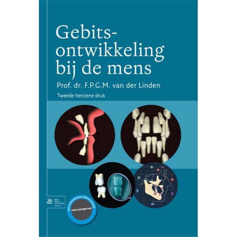 Foto van Gebitsontwikkeling bij de mens