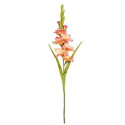 Foto van Kunstbloem gladiolus spray - peach - 93 cm - leen bakker