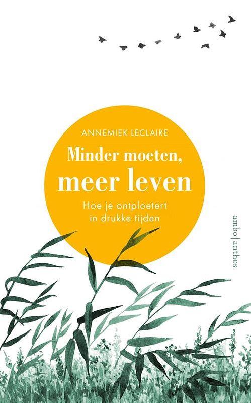 Foto van Minder moeten, meer leven - annemiek leclaire - ebook (9789026347771)