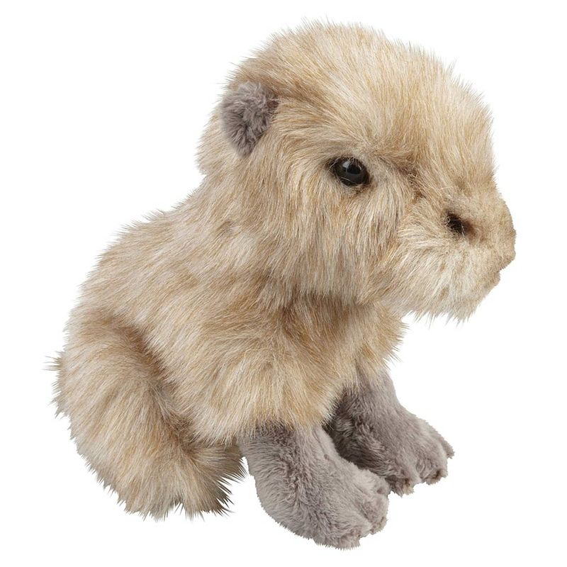 Foto van Beige capibaras knuffels 18 cm knuffeldieren - knuffel bosdieren