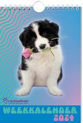 Foto van Rachael hale honden weekkalender- 2024 - spiraalgebonden (9789464325850)