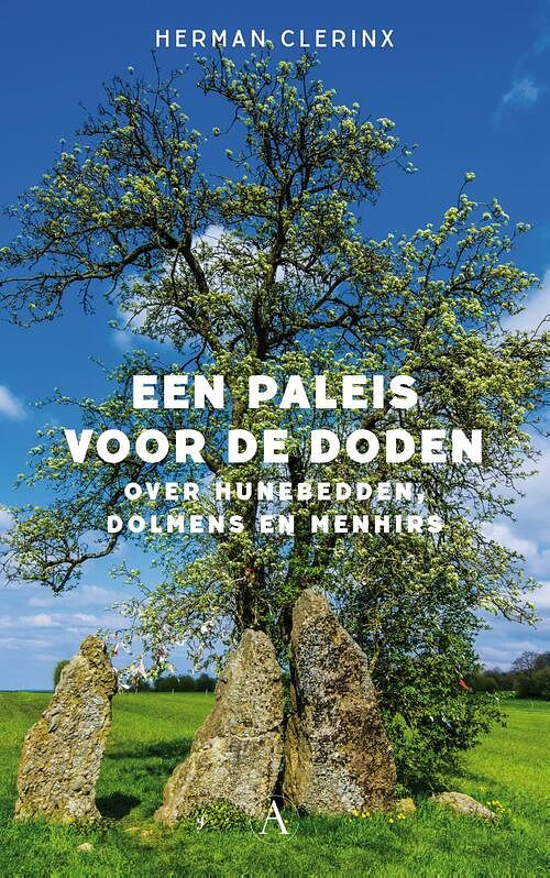 Foto van Een paleis voor de doden - herman clerinx - ebook (9789025307110)