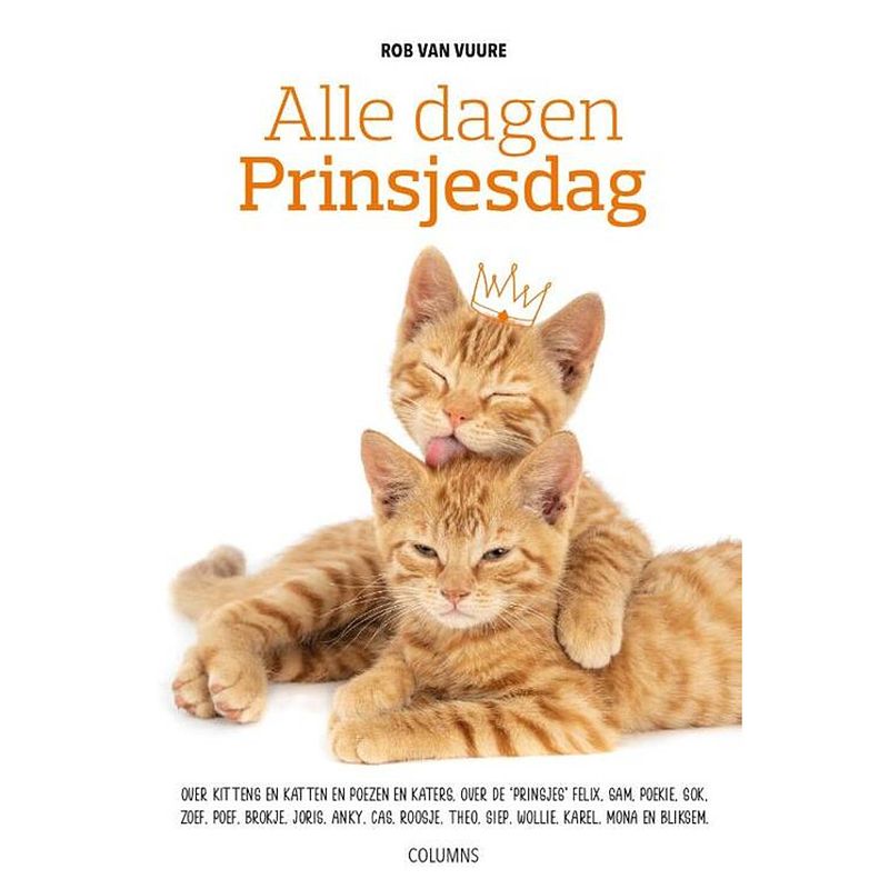 Foto van Alle dagen prinsjesdag