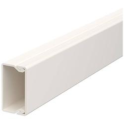 Foto van Obo bettermann 6026370 kabelgoot (l x b x h) 2000 x 35 x 20 mm crème-wit 1 stuk(s)