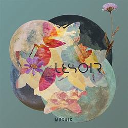 Foto van Mosaic - lp (8718858192755)