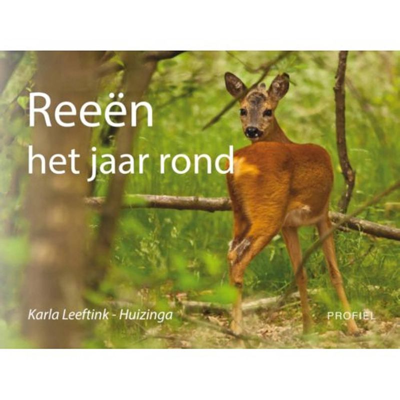 Foto van Reeën het jaar rond