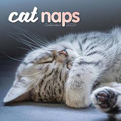 Foto van Cat naps kalender 2023