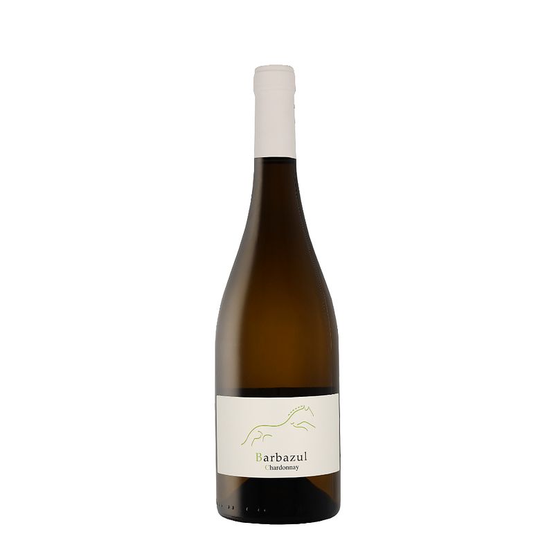 Foto van Barbazul blanco chardonnay 2021 wijn