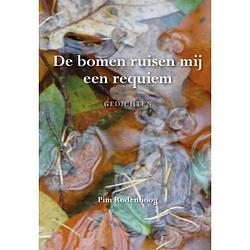 Foto van De bomen ruisen mij een requiem