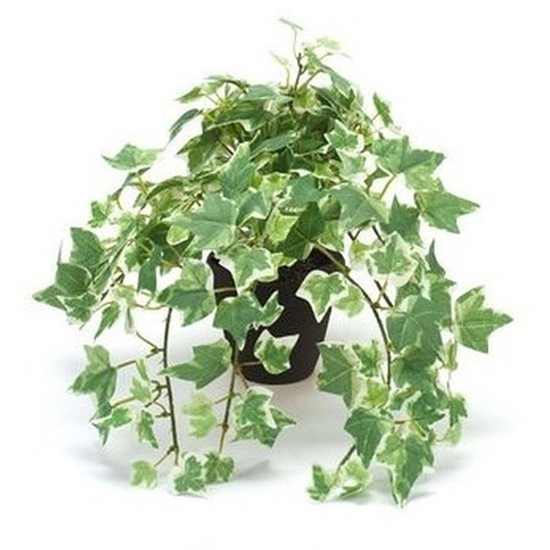 Foto van Kantoor kunstplant klimop groen/wit in zwarte pot 30 cm - kunstplanten