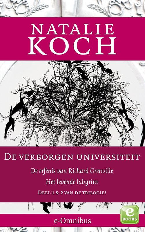 Foto van De erfenis van richard grenville; het levende labyrint - natalie koch - ebook (9789021446448)