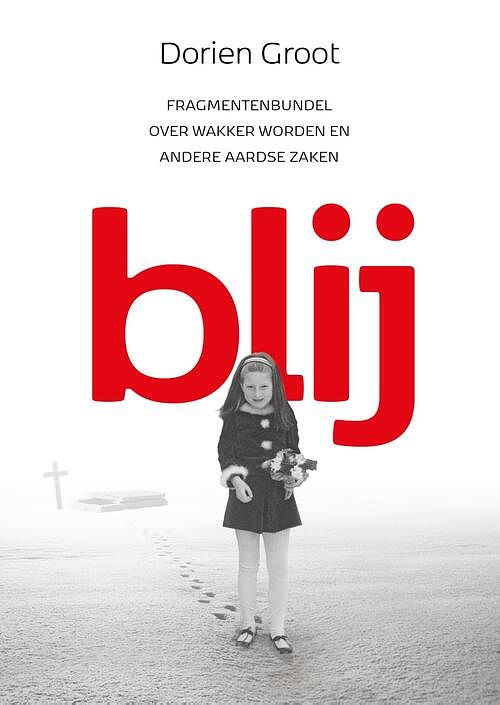 Foto van Blij - dorien groot - ebook (9789493191099)