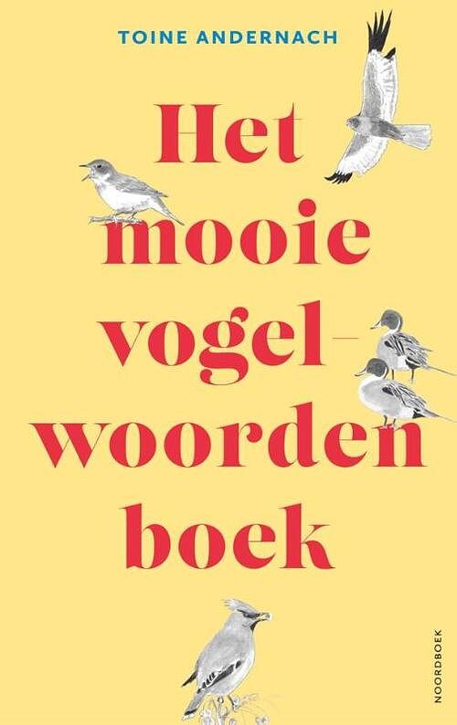 Foto van Het mooie vogelwoorden boek - toine andernach - paperback (9789464710847)