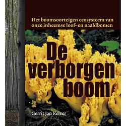 Foto van De verborgen boom