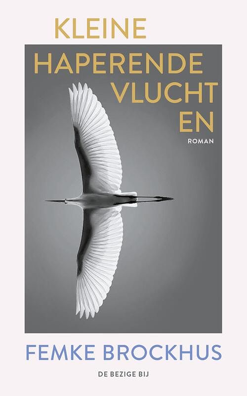 Foto van Kleine haperende vluchten - femke brockhus - ebook (9789403192215)