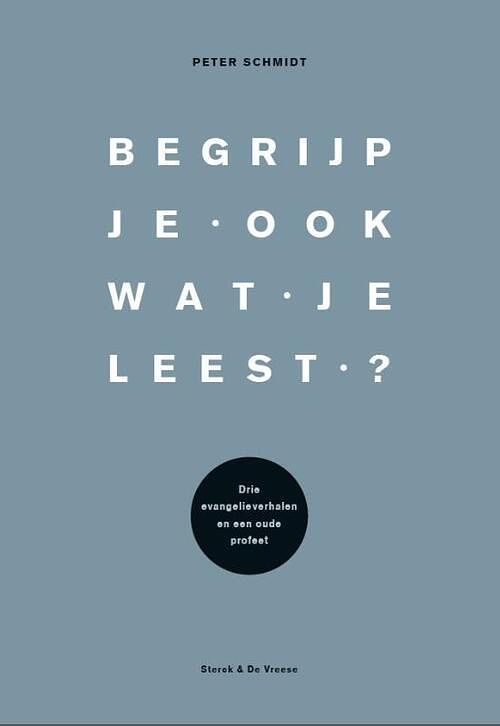 Foto van Begrijp je ook wat je leest? - peter schmidt - paperback (9789464711165)