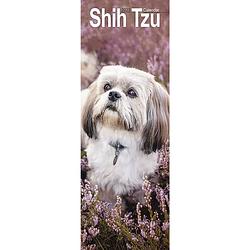 Foto van Shih tzu kalender 2023 slimline