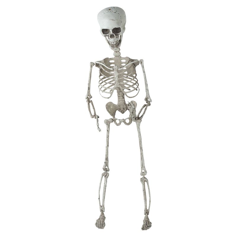 Foto van Halloween - hangende horror decoratie skelet 70 cm - halloween poppen