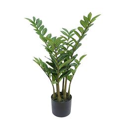 Foto van Zamioculcas kunstplant 75cm