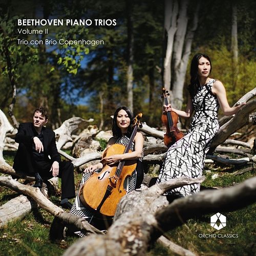 Foto van Piano trios volume ii - cd (5060189560912)