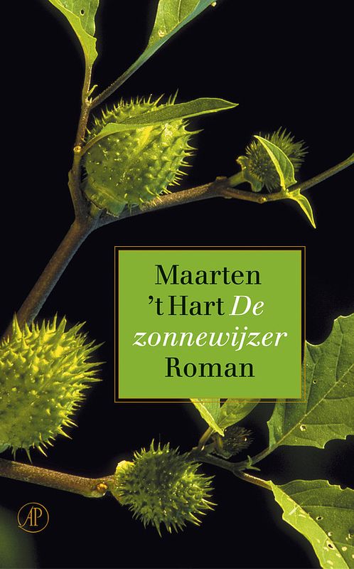 Foto van De zonnewijzer - maarten 'st hart - ebook (9789029576819)