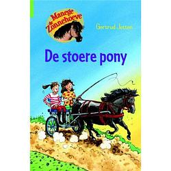 Foto van De stoere pony - manege de zonnehoeve