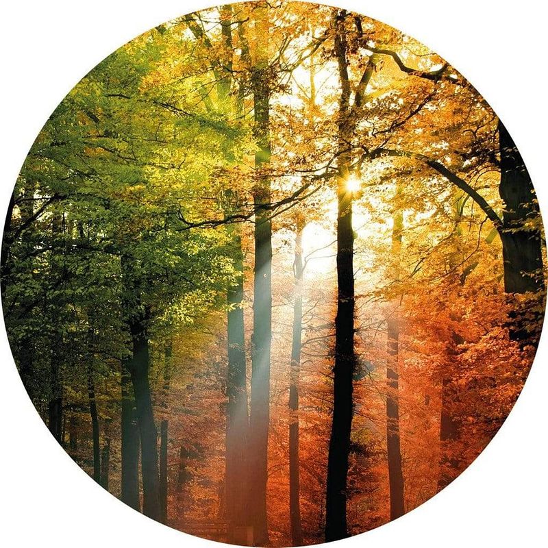 Foto van Wizard+genius golden autumn vlies fotobehang 140x140cm rond