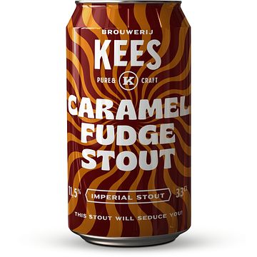 Foto van Brouwerij kees caramel fudge stout blik 330ml bij jumbo