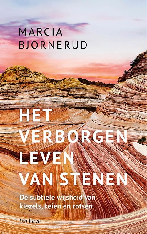 Foto van Het verborgen leven van stenen - marcia bjornerud - ebook