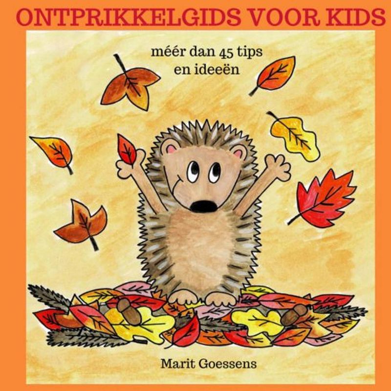 Foto van Ontprikkelgids voor kids