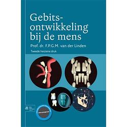 Foto van Gebitsontwikkeling bij de mens