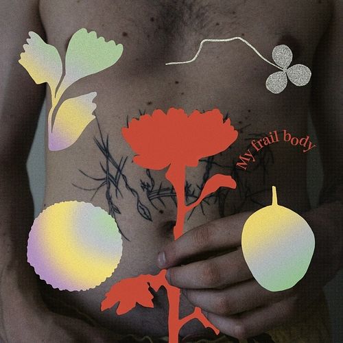 Foto van My frail body - cd (0192641067464)