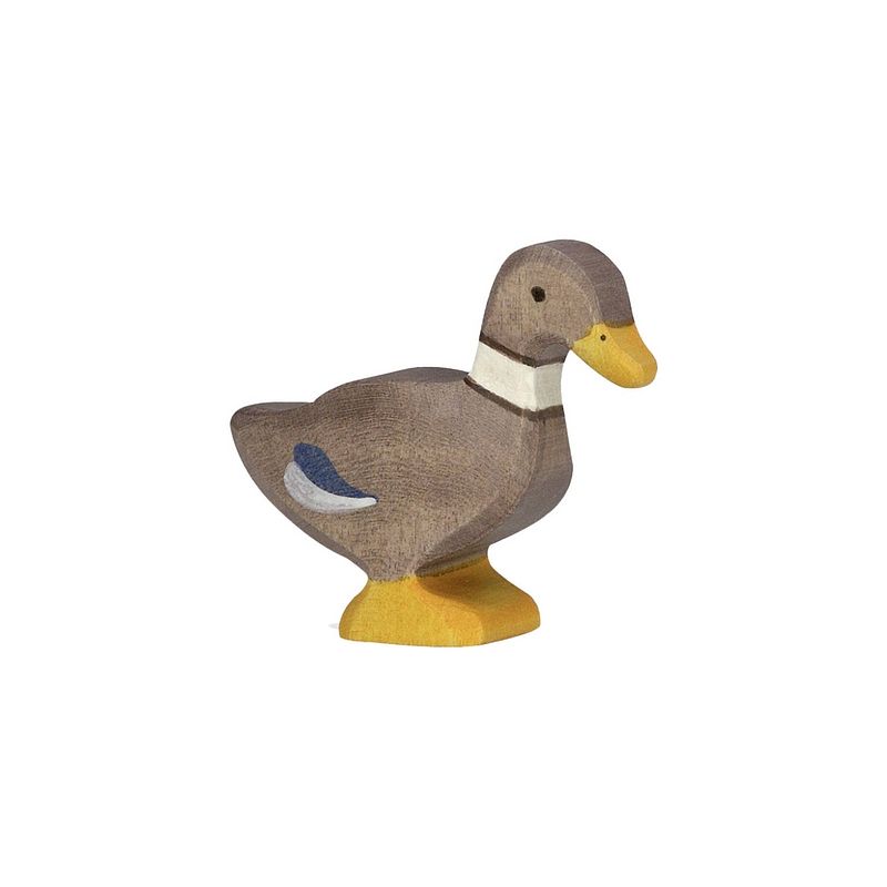 Foto van Holztiger duck