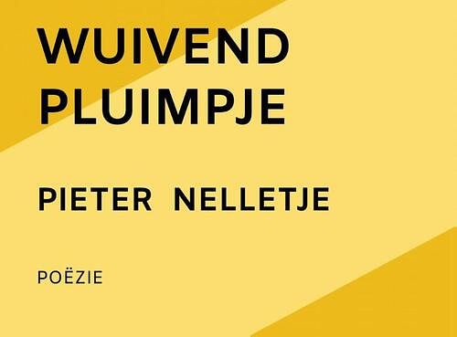 Foto van Wuivend pluimpje - pieter nelletje - paperback (9789403708621)