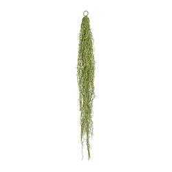 Foto van Kopu® kunstplant tilandsia extra lange hangplant 140 cm - groen