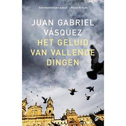 Foto van Het geluid van vallende dingen