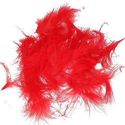 Foto van Hobby knutsel veren - 60x - rood - 7 cm - sierveren - decoratie - hobbydecoratieobject