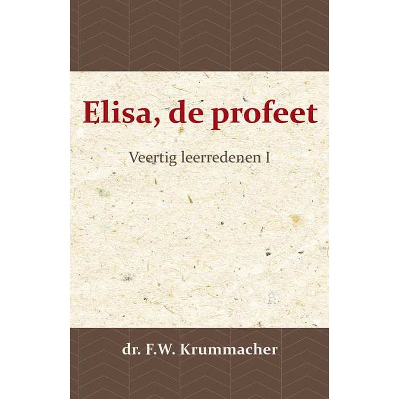 Foto van Elisa, de profeet 1