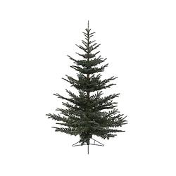 Foto van Everlands - kunstkerstboom nobilis fir h210 cm dia 125 cm groen