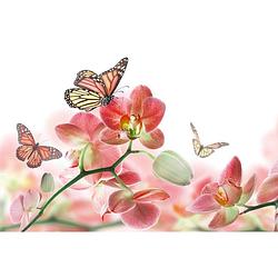 Foto van Dimex orchids and butterfly vlies fotobehang 375x250cm 5-banen