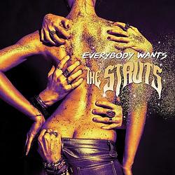 Foto van Everybody wants - cd (0602547777300)