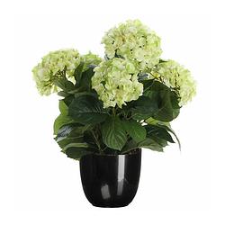 Foto van Hortensia kunstplant/kunstbloemen 45 cm - groen - in pot zwart - kunstplanten