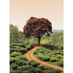 Foto van Wizard+genius red tree and hills in sri lanka vlies fotobehang 192x260cm 4-banen