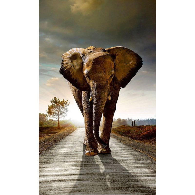 Foto van Dimex walking elephant vlies fotobehang 150x250cm 2-banen