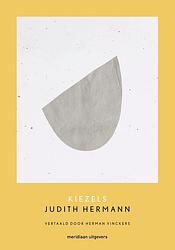 Foto van Kiezels - judith hermann - ebook